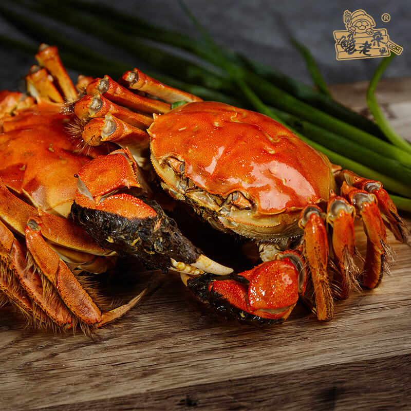 蟹老宋阳澄大闸蟹 海鲜水产生鲜礼盒 中秋螃蟹礼品 (公4.0母3.0)10只高清大图
