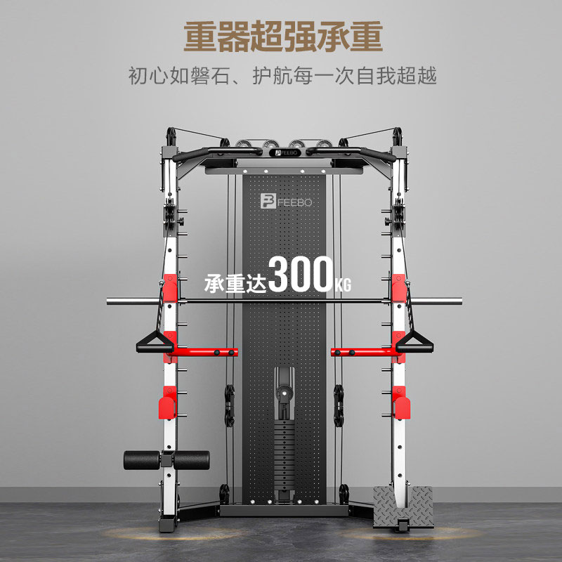 FEEBO菲柏综合训练器史密斯机深蹲龙门架多功能单双杠飞鸟卧推架可调凳高清大图