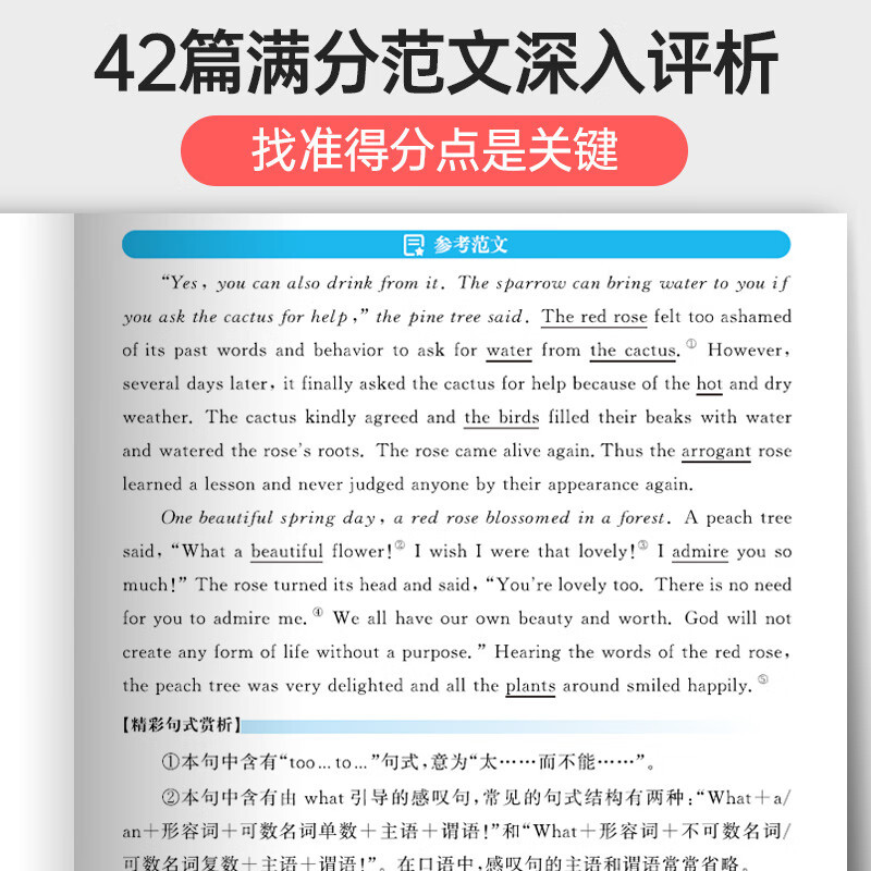 [新高考]英语作文+读后续写 新高考 [正版]蝶变 新高考英语写作读后续写技巧与素材 作文大全词汇常考短语高中书面表