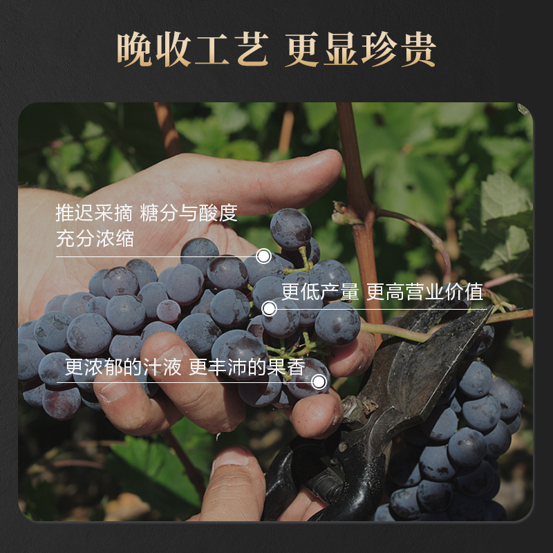 通化五星寒地晚收山葡萄酒13.5%vol 740ml单瓶装高清大图