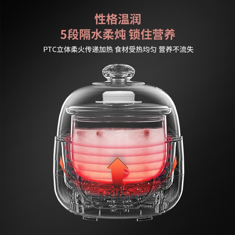 天际DGD10-10PWG电炖炖锅燕窝专用隔水炖盅玻璃内胆单胆煲汤煮粥锅小炖盅1人高清大图