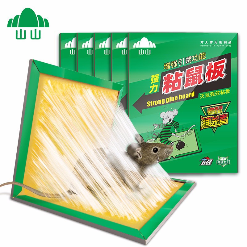 粘鼠板5张装