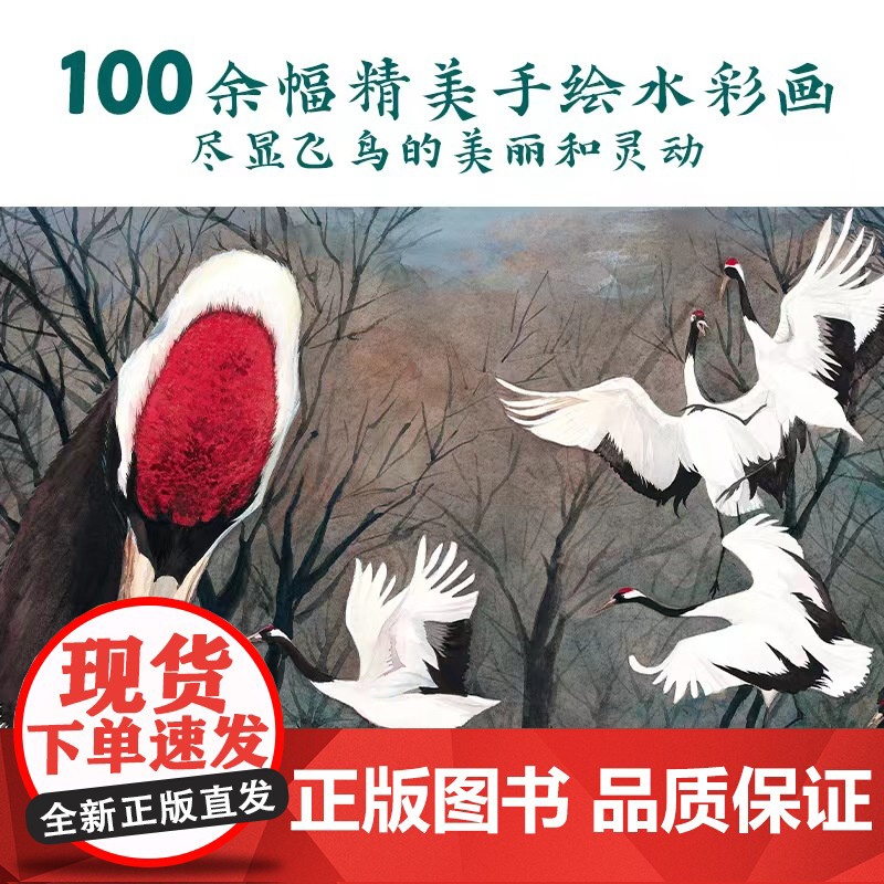 我的飞鸟朋友:的旅程高清大图