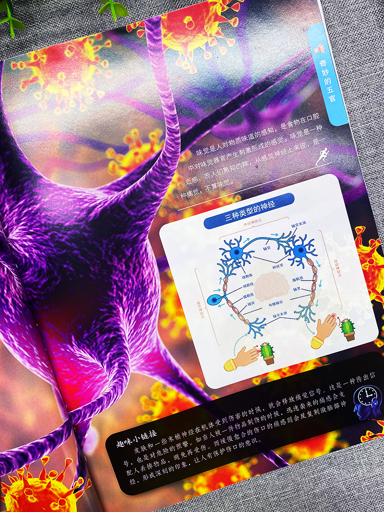 [醉染正版]精装儿童人体百科全书 6-9-12岁课外书籍科普百科少儿百科全书揭秘人体绘本漫画书 亲子读本儿童文学我们的身高清大图
