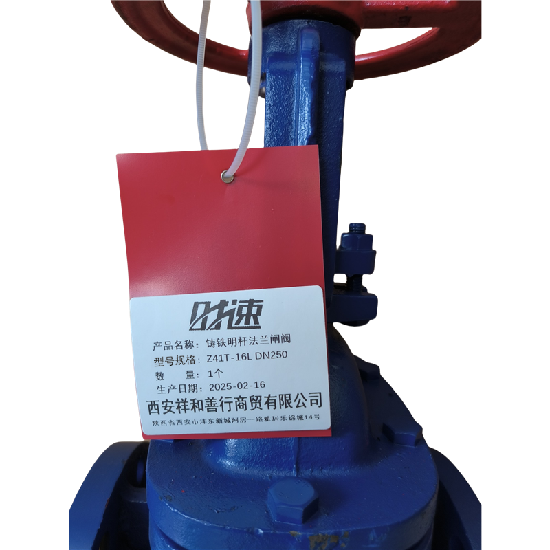 时速 铸铁明杆法兰闸阀 Z41T-16L DN250 个高清大图
