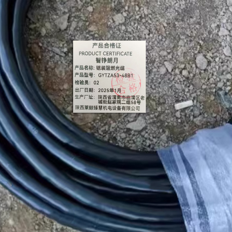 智铮朗月 铠装阻燃光缆 GYTZA53-48B1米高清大图