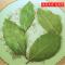 250g 香叶250/500g 月桂叶食用香料卤料卤肉调味料另售八角桂皮