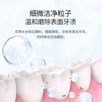 纳爱斯牙膏清新口气盐白冰菊果味牙齿120g