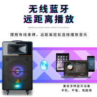 狮乐(SHILE)皇冠十号15英寸广场舞音响户外移动便携插卡蓝牙 店铺直播会议培训超市移动大功率电瓶音响配两只无线话筒