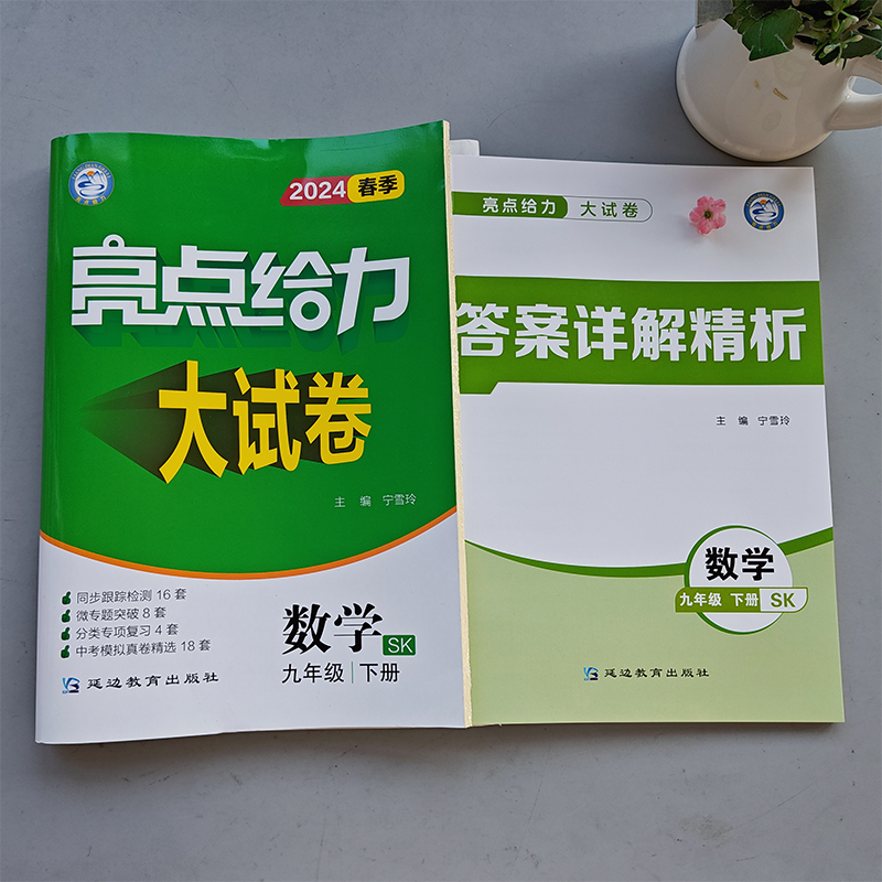 [醉染正版]新版 2024春亮点给力大试卷九年级下册数学江苏版中学教辅 9年级苏教版同步训练习册初三单元期中期末分类高清大图