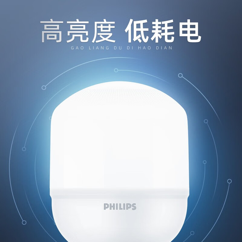 【飞利浦1140】光源 天棚灯高清大图