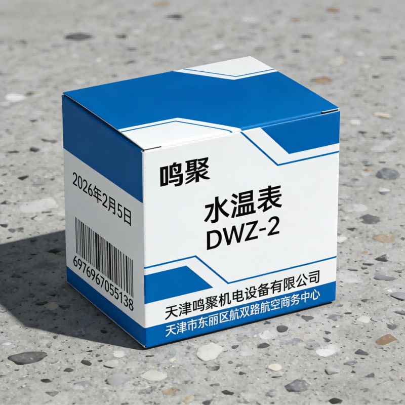 鸣聚 水温表 DWZ-2 个高清大图