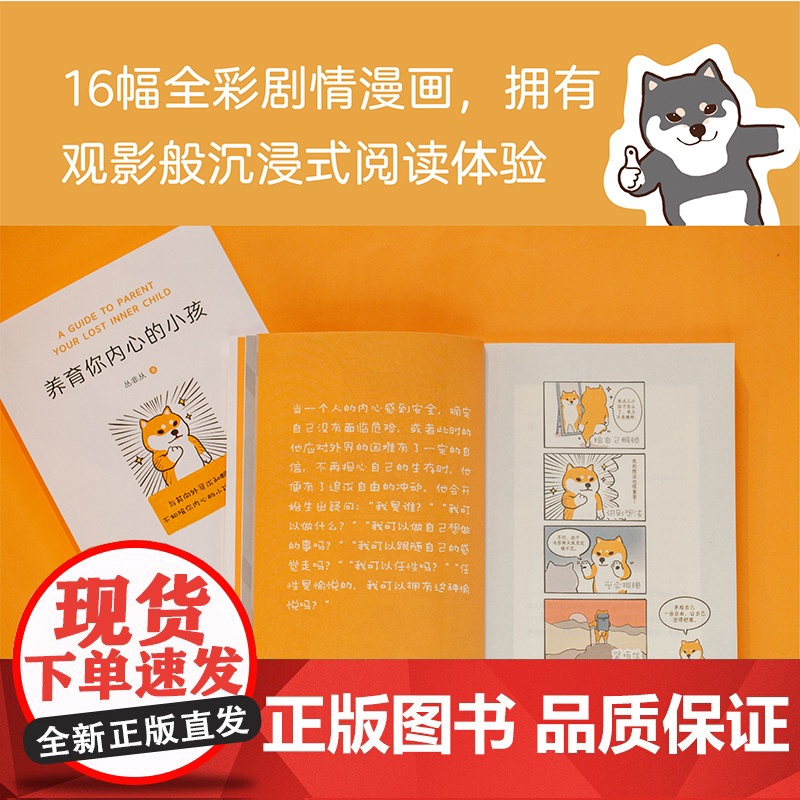 养育你内心的小孩 丛飞从 心理学入门自助疗愈自我成长 心理咨询 亲密关系 焦虑 情绪习惯 自控力 人间清醒 原生家庭 价高清大图