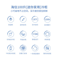 海信冰柜BD/BC-100N/A XH 常规款B2B商品,10份起订