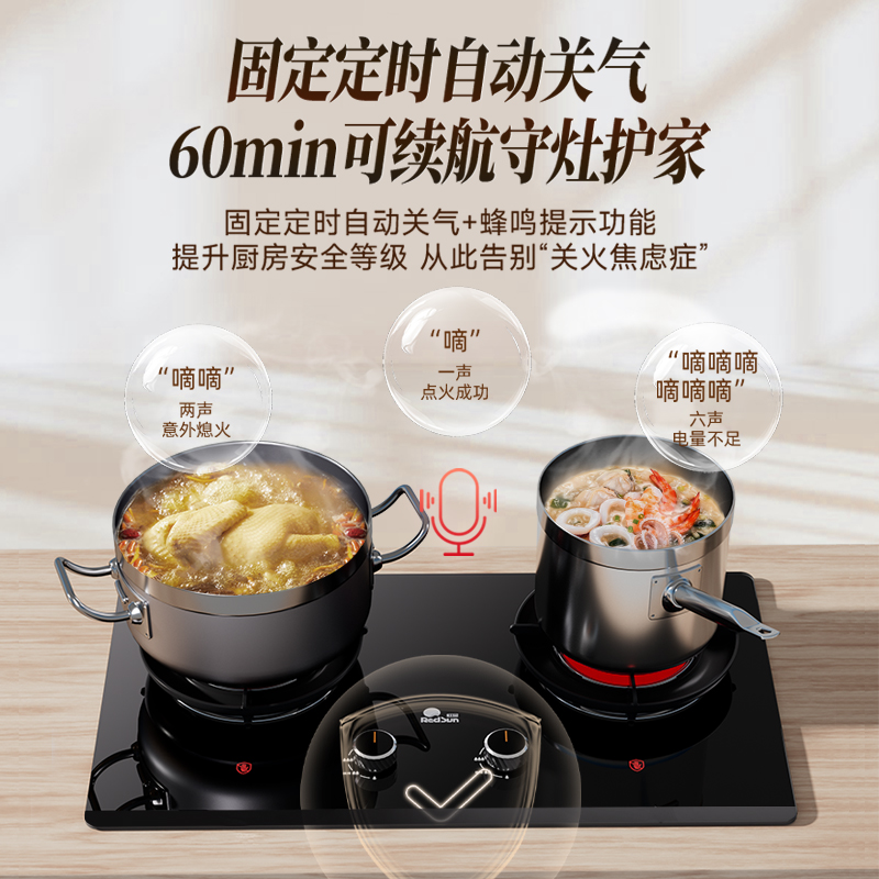 红日(RedSun)红日红外线猛火 高热节能72%效率 1200℃猛火固定定时 红外线家用燃气灶 EX56B天然气高清大图