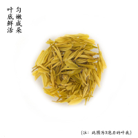 茶叶[绿茶][绿茶∙酣畅淋漓]黄金芽醇厚甘甜2024新茶广德阳岱山50g
