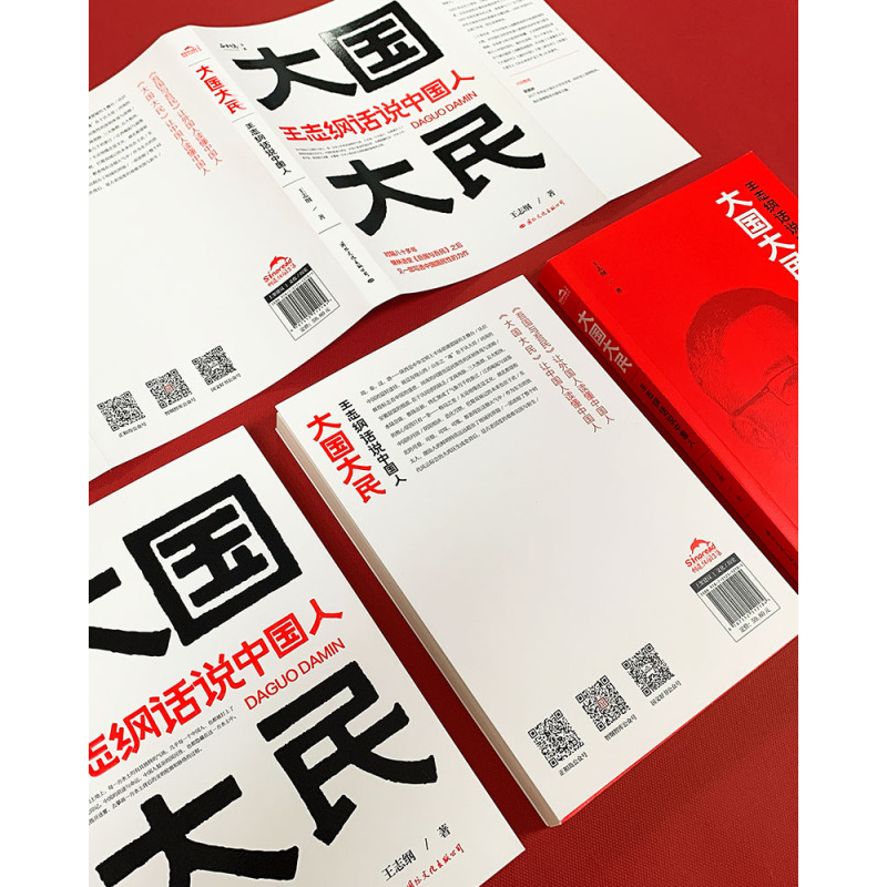 [正版]出版社大国大民 王志纲话说中国人 中国文化精神读本要略常识 国学传统民俗文化书籍 王志刚GWRH云图