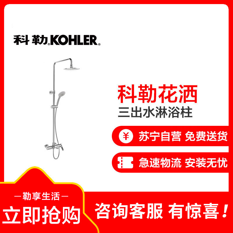 新品科勒kohler 利奥淋浴花洒龙头淋浴柱双花洒龙头97825T