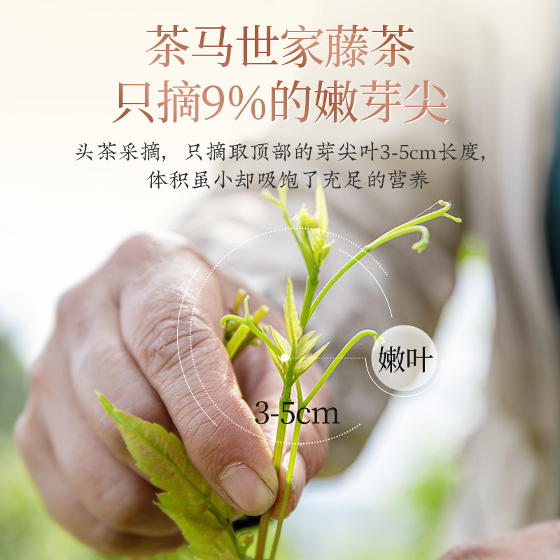 茶馬世家 品鉴藤茶恩施特级莓茶正宗野生龙须芽尖特产花茶来凤富硒6g