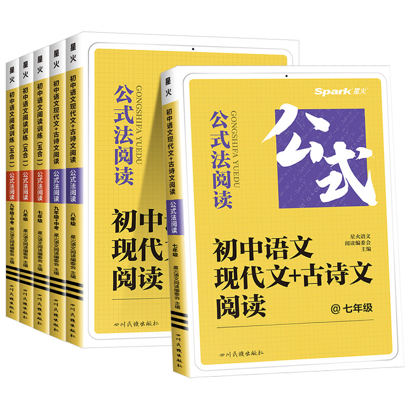 阅读训练5合1 八年级/初中二年级 [正版]2025版公式法阅读语文现代文古诗文阅读巅峰训练升级版七八九年级中考七合一强