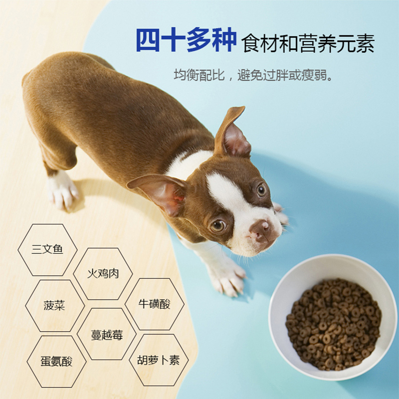 汤恩贝BD5火鸡牛肉胡萝卜成犬无谷粮22磅10kg狗粮