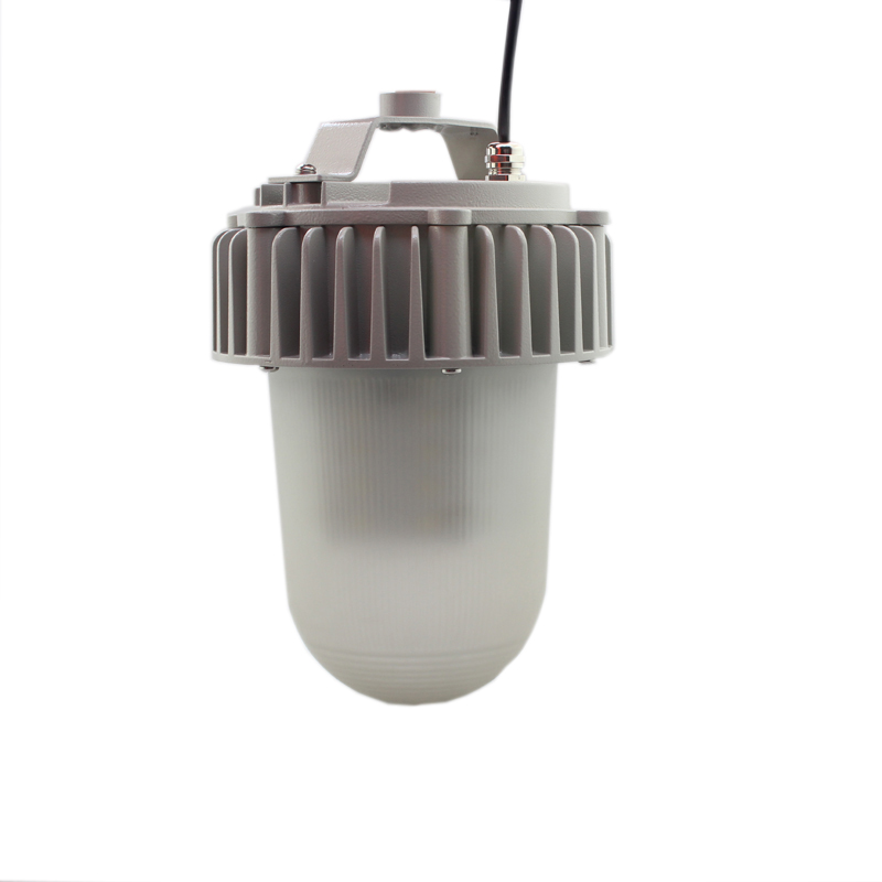LHDQ 领航电器LHF2105-50W LED平台灯 IP65 市电220V 冷白高清大图