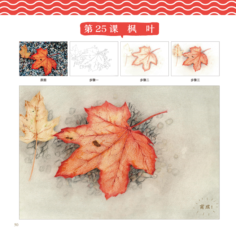 [正版]缤纷植物 豫美绘画小课堂 彩铅写生系列 儿童彩铅画教程幼儿绘画启蒙绘画图例示范易于操作步骤解析详细高清大图