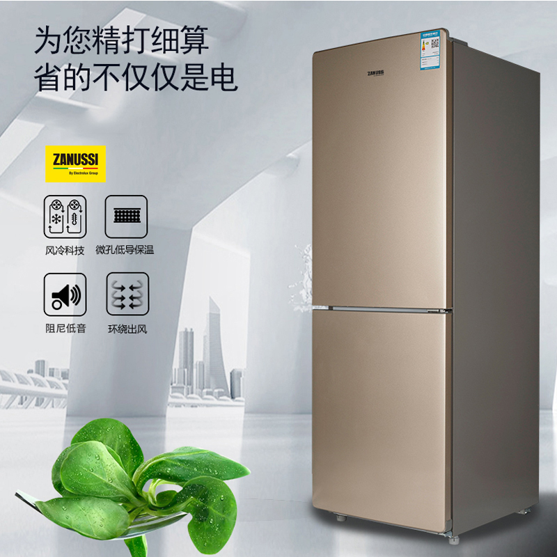 扎努西·伊莱克斯/ZANUSSI ZBE1780LPA 双门冰箱无霜风冷 炫金外观 178升容积 家用电冰箱高清大图