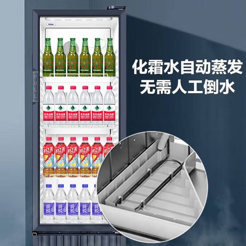 海尔 SC-309J 一级能效风冷无霜不倒水抗菌内胆立式展示柜冰柜 饮料冷藏柜风冷无霜 309L(计价单位:台)高清大图