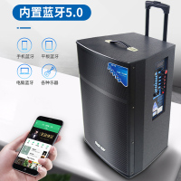 先科 (SAST) SA- 122英寸广场舞音响 蓝牙拉杆音箱 彩灯户外便携式音响大功率低音炮KTV 扩音器带无线麦克风