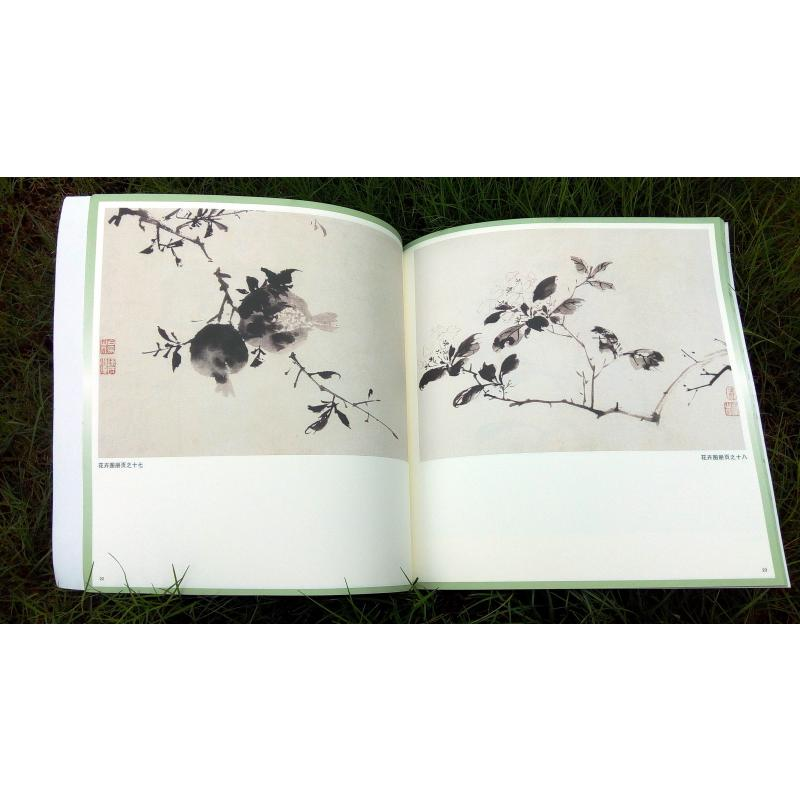 醉染图书陈淳、 徐渭写意花鸟画谱9787558616631高清大图