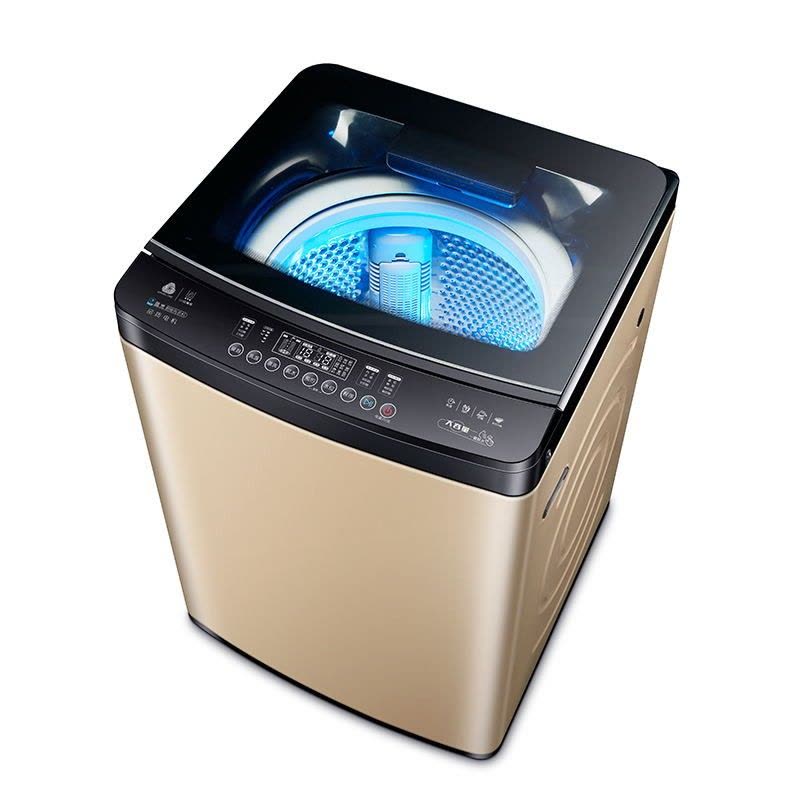 长虹全自动洗衣机商用宾馆酒店波轮家用大容量家用宿舍大容量自动洗脱一体 8.0KG 风干款 纳米除箘图片