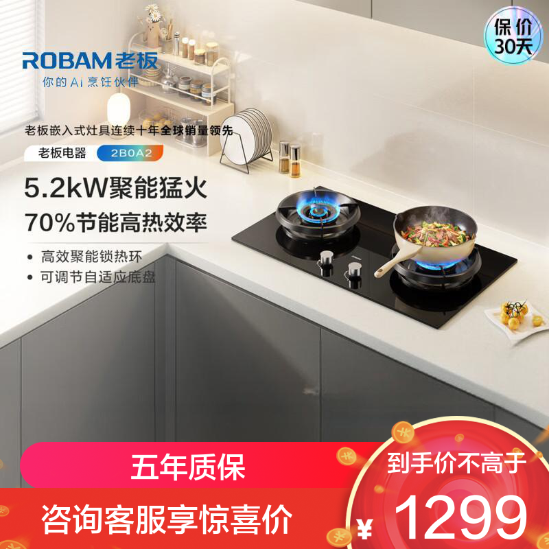老板(ROBAM)燃气灶2B0A2 天然气