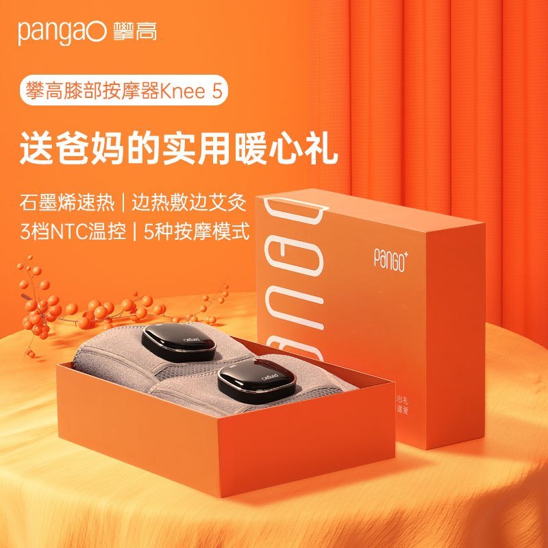 攀高(PANGAO)膝盖按摩仪knee5生日礼物 按摩器 艾灸热敷 腿部按摩器高清大图