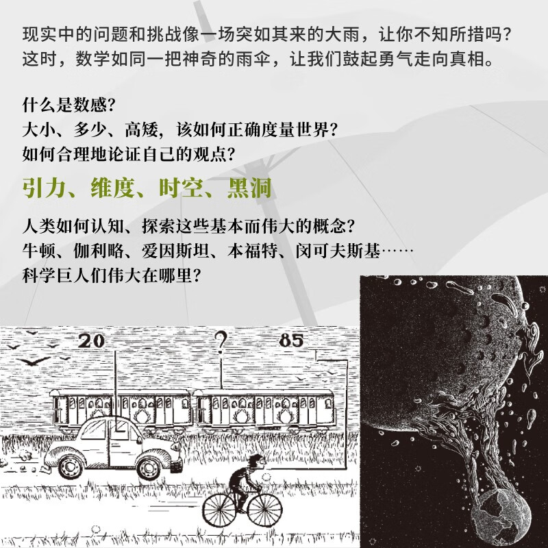 [醉染正版]数学的雨伞下:理解世界的乐趣 培养孩子思维的科普类书籍 数学科普读物 代数 几何 数学故事书 数学思维训练高清大图