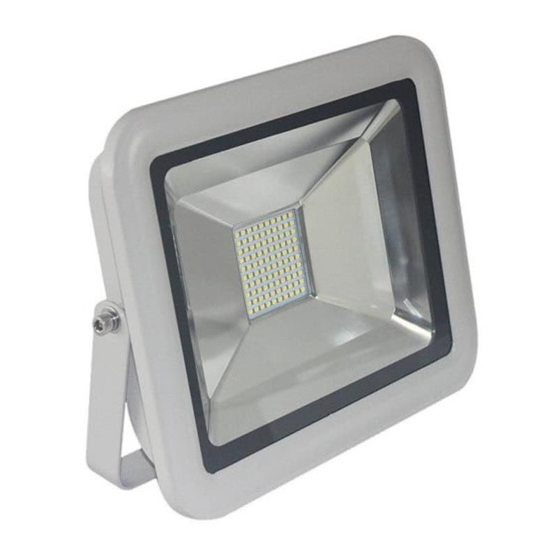领航电器(LHDQ) LHF2360/G 20W 220V 冷光 IP65 色温6000K 光源类型LED LED投光灯图片