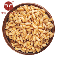 华闽（HUAMIN） 小麦米 500g农家小麦 五谷小麦粥粗粮饭 小袋杂粮真空包装 非有机非转基因