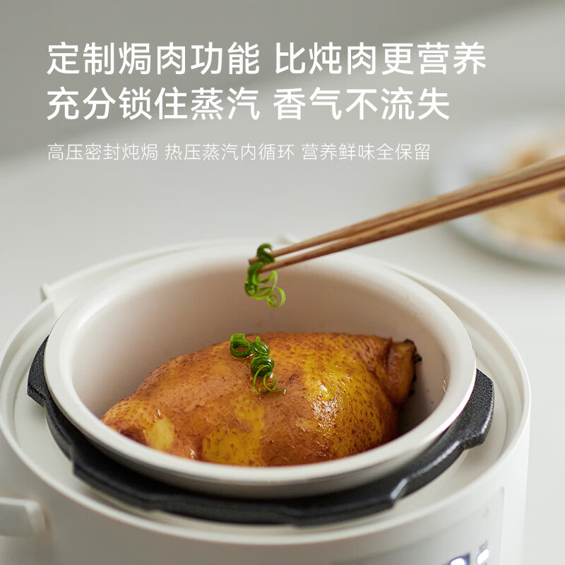 OLAYKS电压力锅2L家用多功能智能预约YBW2001B高清大图