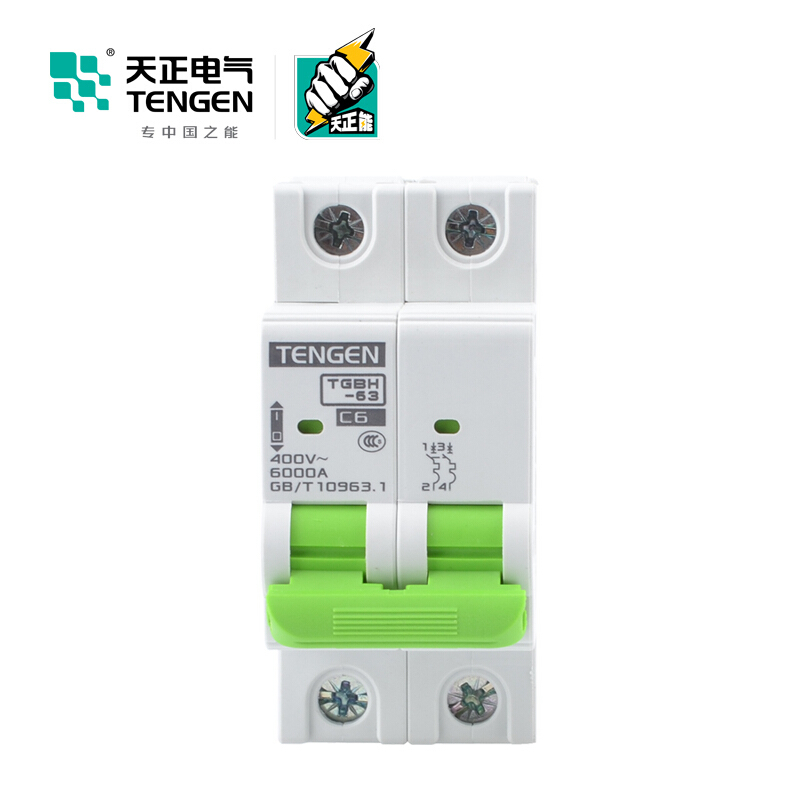 天正电气瑞彩系列TGBH-63 空气开关 6KA 2P C 25A 335013800038 微型断路器