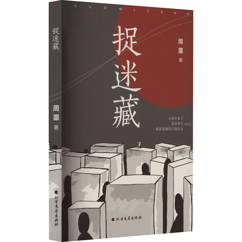 [M]捉迷藏-9787531758570高清大图