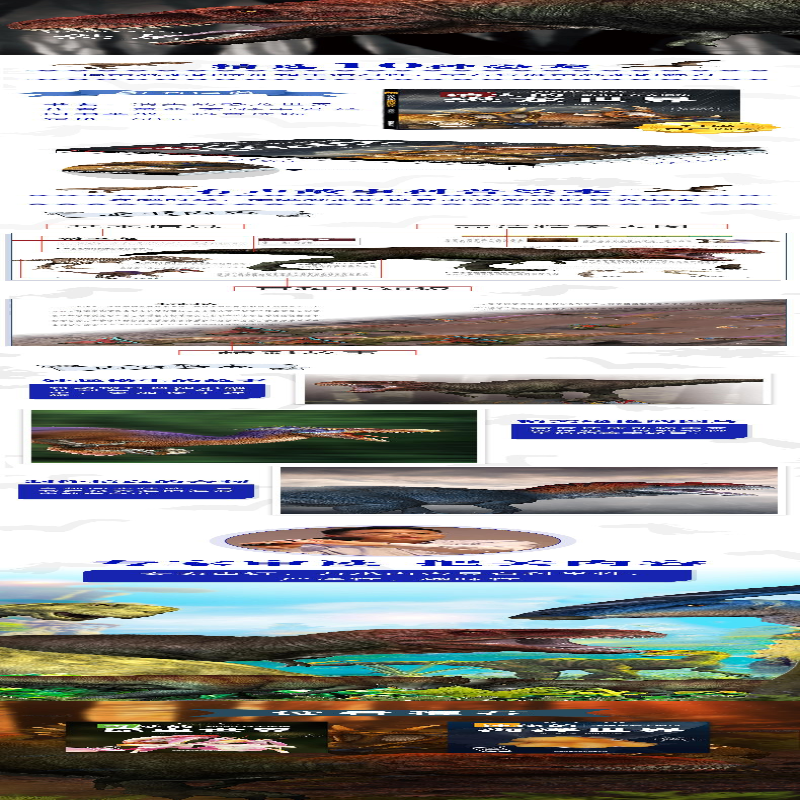 [M]动物生存大揭秘 消失的恐龙世界 黄鑫,徐中岩 绘 -9787113278281