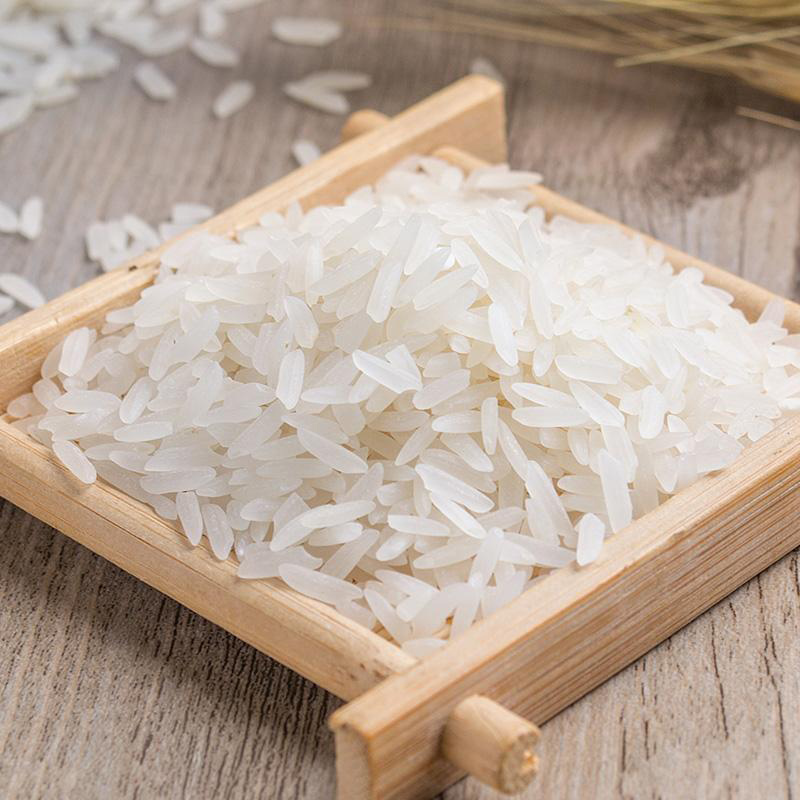 水中鲤丝苗米 广东大米 长粒香软南方籼米 绿色食品 水润丝苗米 5kg