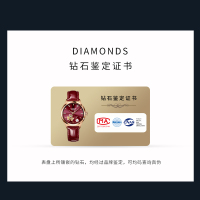 卡梭品牌正品名牌真钻全自动机械表女士手表女表防水简约气质潮流表带调表器