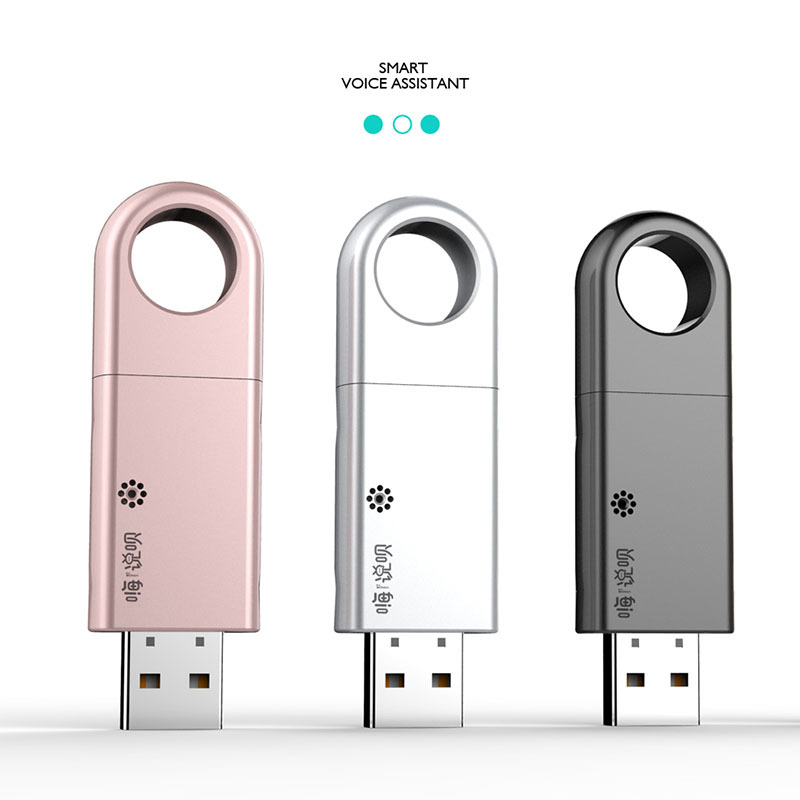 嗨说呗AI智能语音识别 LHY 常规款 B2B商品 100起订