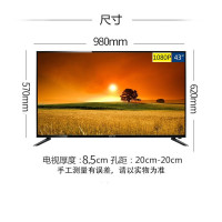 先科（SAST）电视 39/49/43英寸网络智能电视WIFI液晶平板电视机彩电 高清/全高清（可选）