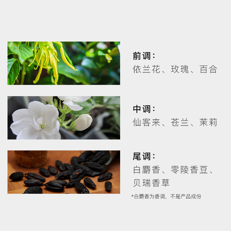 东方宝石 (Tesori D Oriente) 意式典雅香薰蜡烛 200ml*高清大图