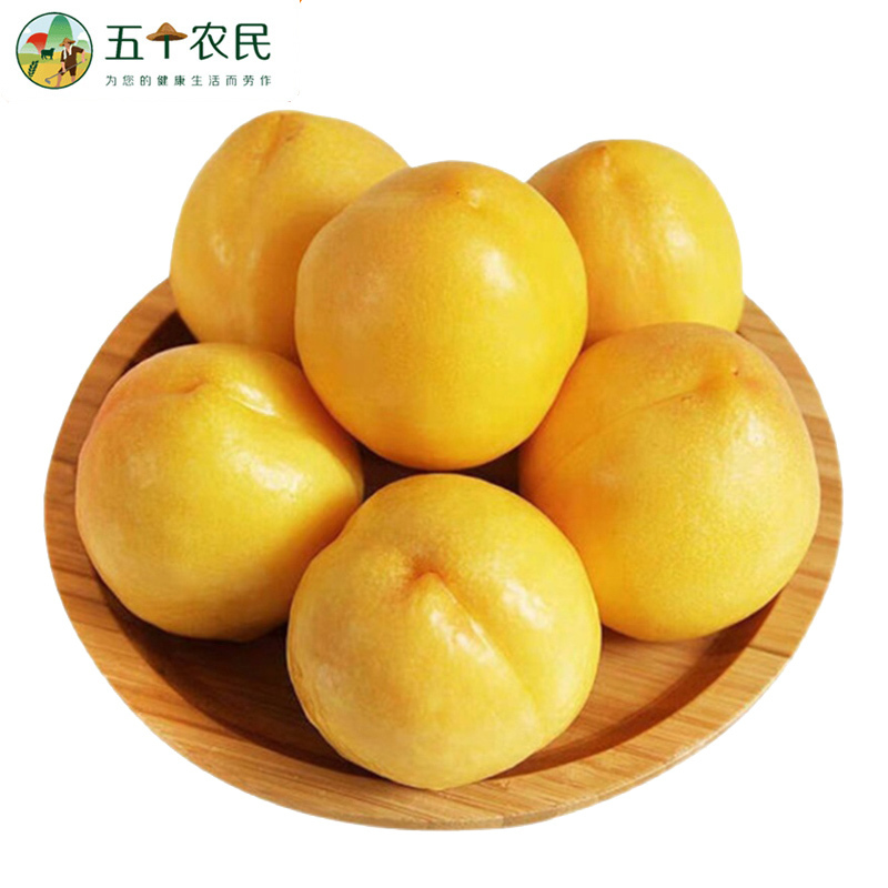 山东蒙阴黄金蜜桃新鲜3斤装黄皮黄肉油桃新鲜水果现摘现发超甜应季黄桃生鲜自营