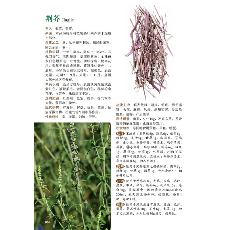 [醉染正版]图解中草药大全 中医入门中草药大全书籍药材植物彩图中药大全 中医养生保健大全中草药识别百科全书 本草纲目中草高清大图