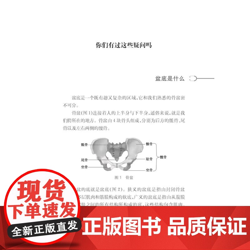 健康中国家有名医丛书盆底疾病诊断与治疗 上海科学技术文献出版社盆底功能疾病科普专业读物高清大图