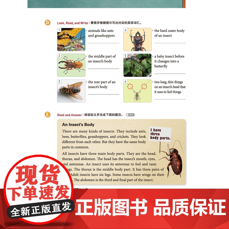新东方 读美国中小学课本学各科词汇2 趣味同步学 出国留学单词书适合小托福高中中学生出国用书籍高清大图